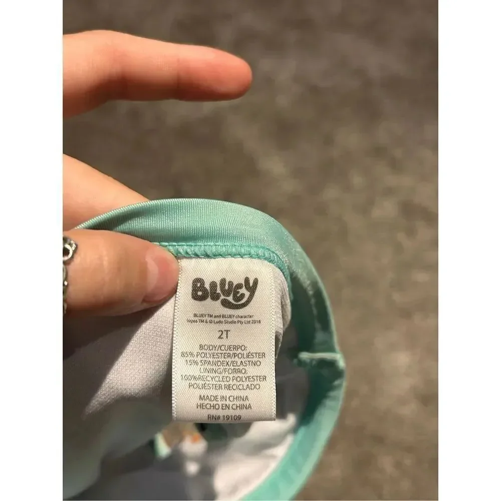 Bluey 2 piece bathing suit size 2T